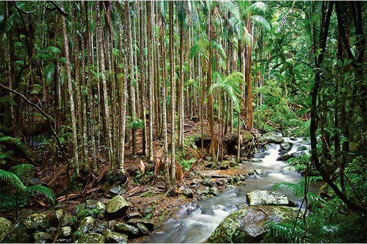 Sleep Down Under 2026